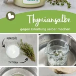 eine erkaltungssalbe mit thymian selber zu machen 2026 07 22 001514 1